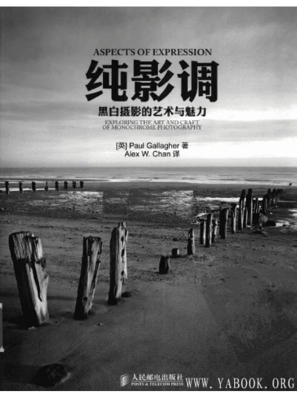 《纯影调:黑白摄影的艺术与魅力》封面图片
