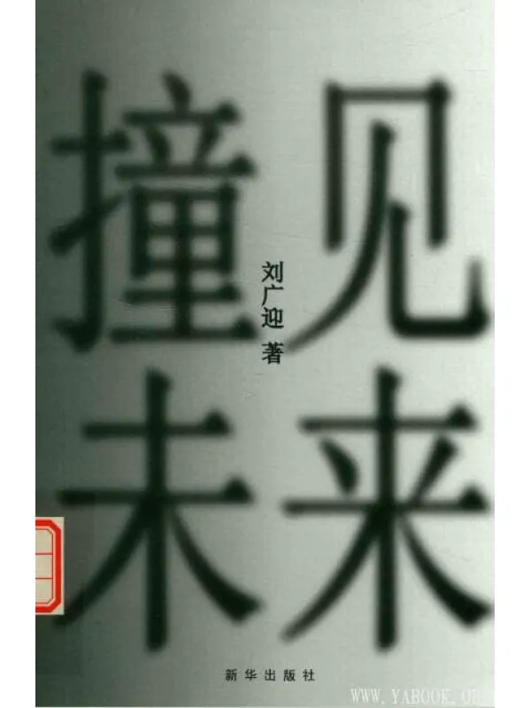 《撞见未来》封面图片