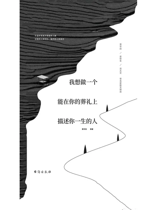 《我想做一个能在你的葬礼上描述你一生的人》封面图片