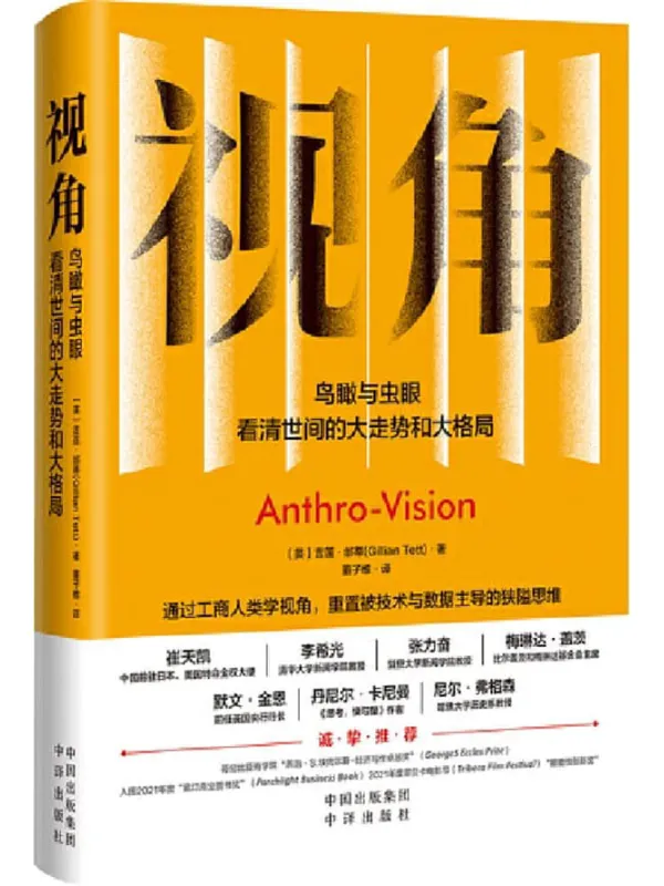 《视角:鸟瞰与虫眼》封面图片