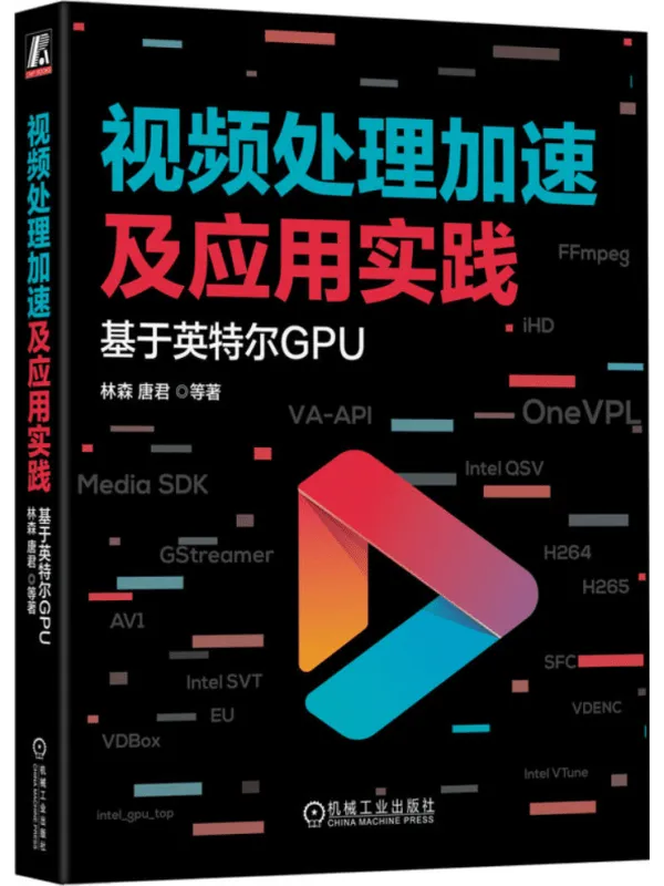 《视频处理加速及应用实践：基于英特尔GPU》封面图片