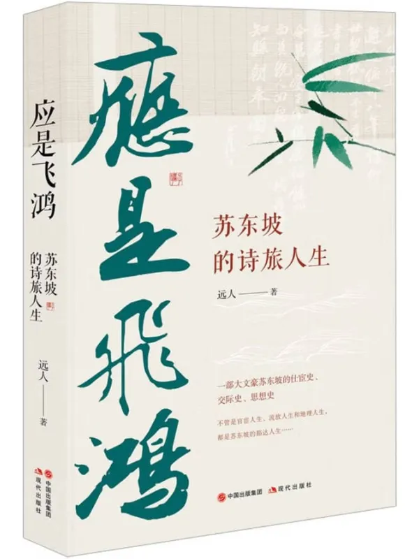 《应是飞鸿：苏东坡的诗旅人生》封面图片