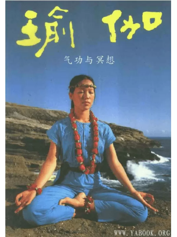 《瑜伽气功与冥想（21年畅销·纪念限量珍藏本）》PDF