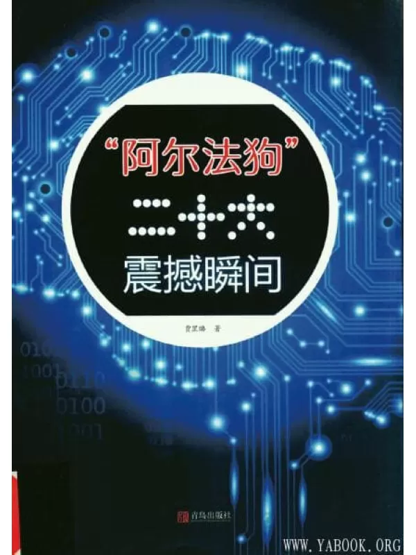 《阿尔法狗二十大震撼瞬间》_贾罡璐_扫描版[PDF]