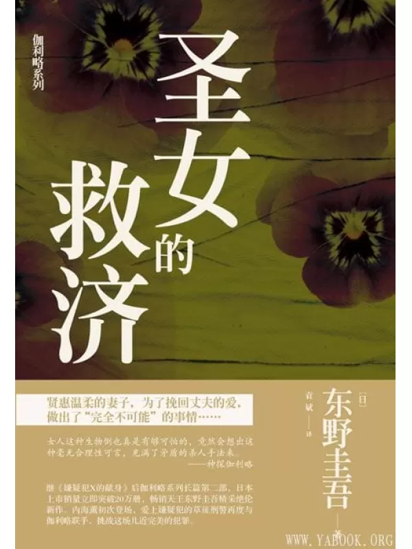 《圣女的救济》东野圭吾【文字版_PDF电子书_下载】