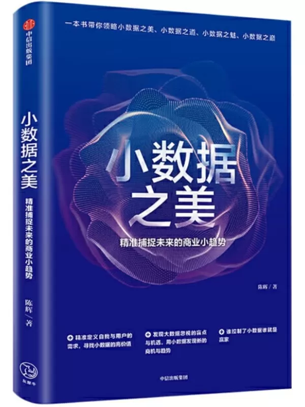 《小数据之美：精准捕捉未来的商业小趋势》陈辉【文字版_PDF电子书_下载】