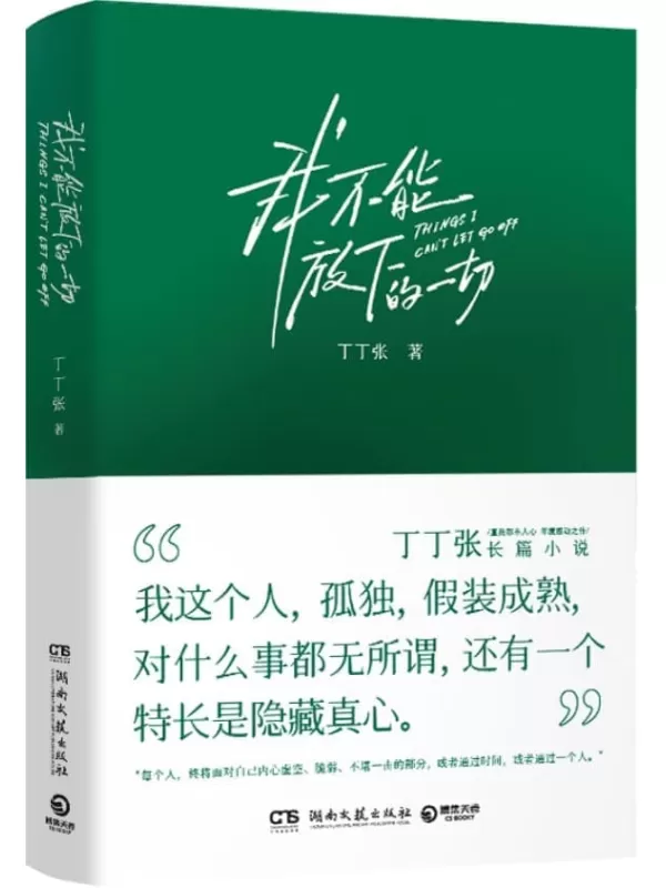 《我不能放下的一切》（成年人的乏力与困境。丁丁张阔别四年长篇小说，直抵都市人心，年度感动之作！）丁丁张【文字版_PDF电子书_雅书】