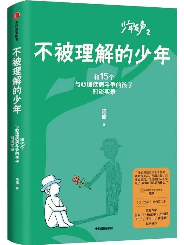 《不被理解的少年》（《少年发声》系列第二部，与15位被贴上心理问题标签的孩子对话）陈瑜【文字版_PDF电子书_雅书】