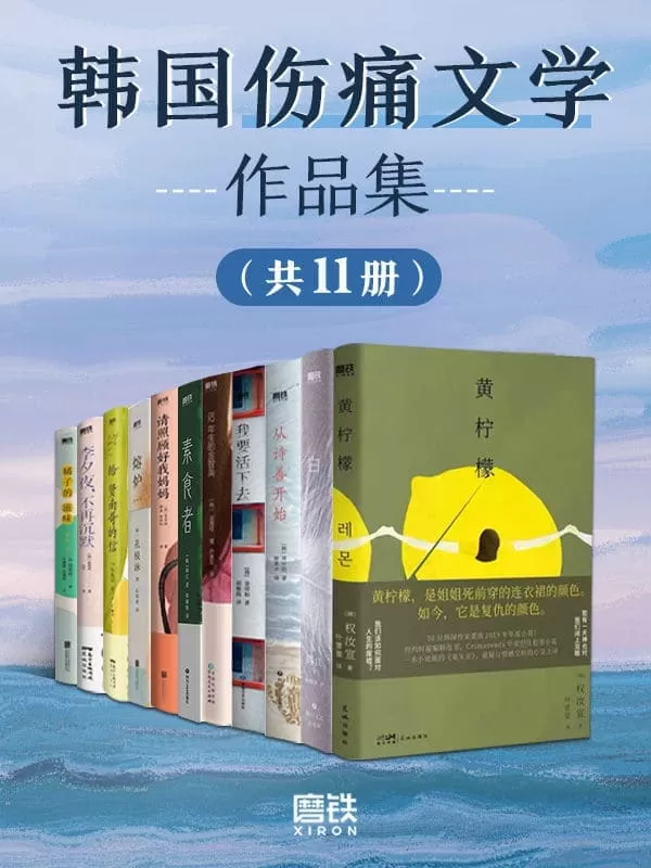 《韩国伤痛文学作品集（套装11册）》权汝宣 韩江 郑世朗【文字版_PDF电子书_雅书】