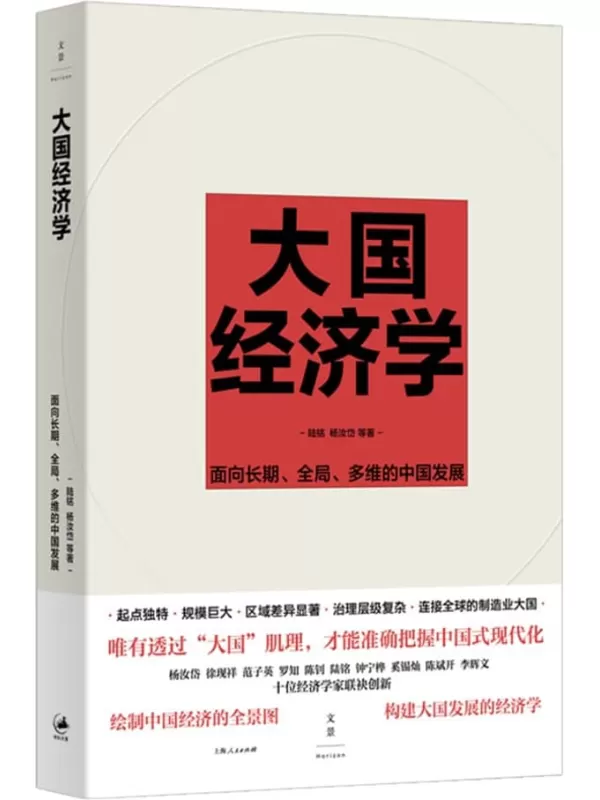 《大国经济学：面向长期、全局、多维的中国发展》陆铭；杨汝岱 等【文字版_PDF电子书_雅书】