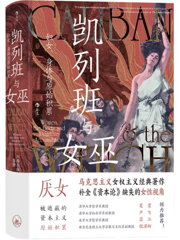 《凯列班与女巫：妇女、身体与原始积累》西尔维娅·费代里奇【文字版_PDF电子书_雅书】