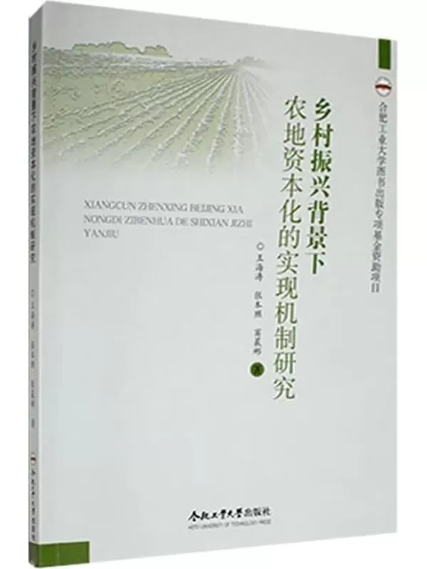 《乡村振兴背景下农地资本化的实现机制研究》王海涛，张本照，窦晨彬【扫描版_PDF电子书_下载】