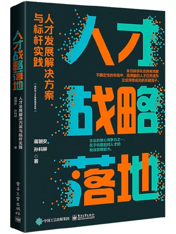 《人才战略落地：人才发展解决方案与标杆实践》蒋朝安【文字版_PDF电子书_雅书】