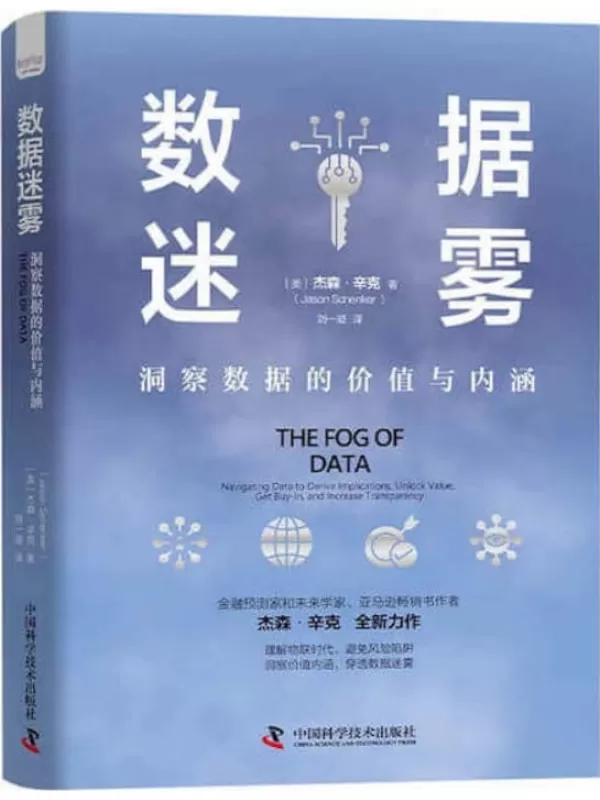 《数据迷雾：洞察数据的价值与内涵》（美）杰森·辛克【文字版_PDF电子书_雅书】