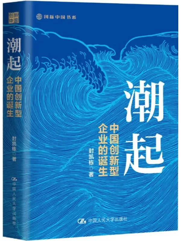 《潮起：中国创新型企业的诞生》封凯栋【文字版_PDF电子书_雅书】