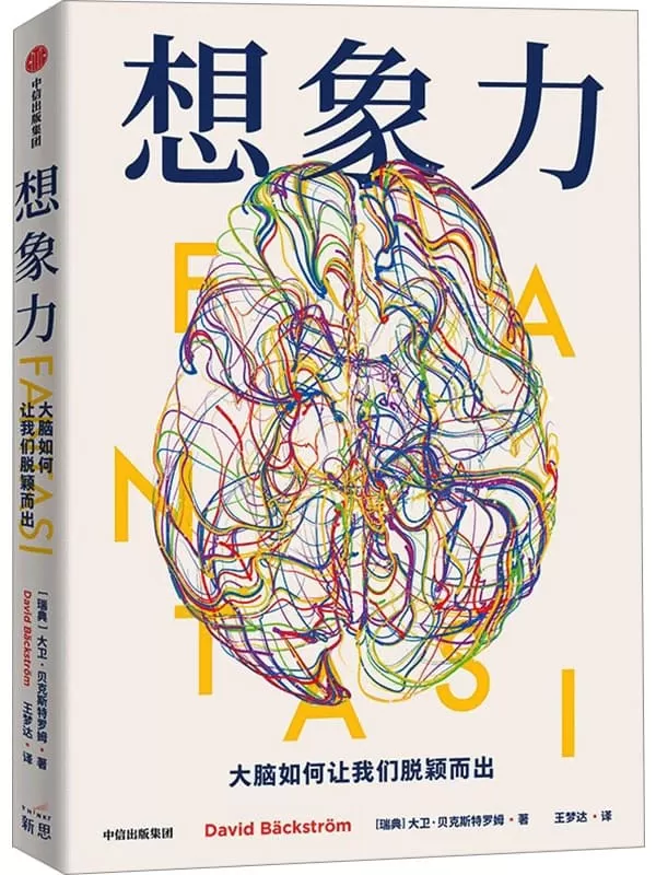 《想象力：大脑如何让我们脱颖而出》大卫·贝克斯特罗姆【文字版_PDF电子书_雅书】