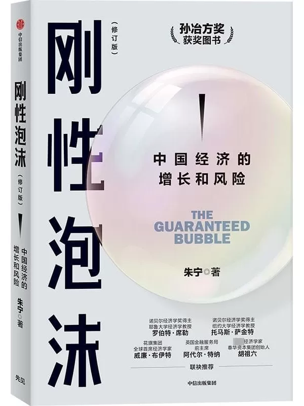 《刚性泡沫（增订版）：中国经济的增长和风险》朱宁【文字版_PDF电子书_雅书】