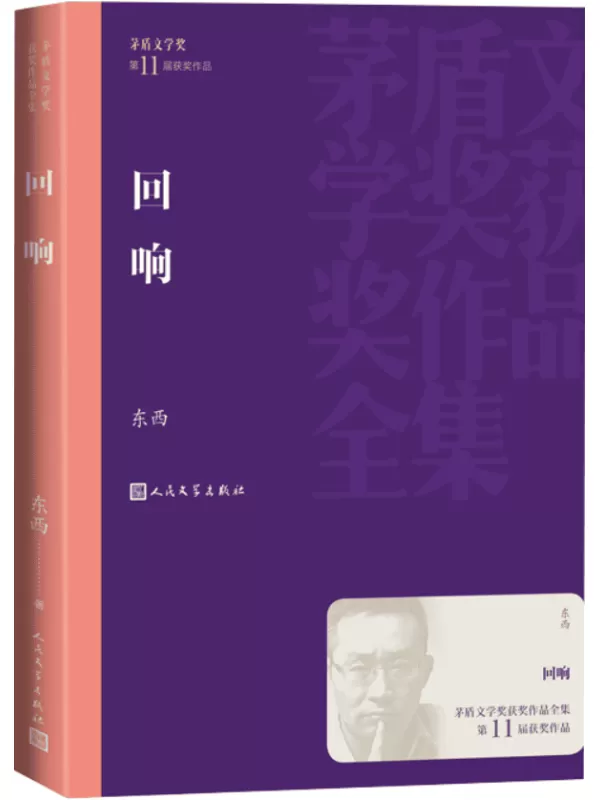 《回响》（茅盾文学奖获奖作品全集）东西【文字版_PDF电子书_雅书】