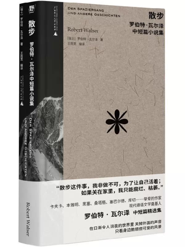 《散步》（罗伯特•瓦尔泽作品系列）罗伯特·瓦尔泽【文字版_PDF电子书_雅书】