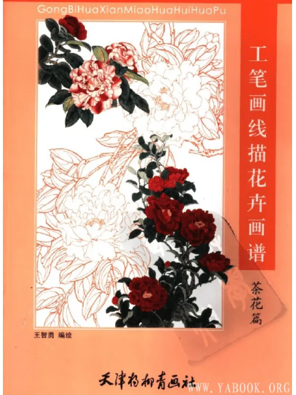 《工笔画线描花卉画谱(茶花篇)》彩图版[PDF]