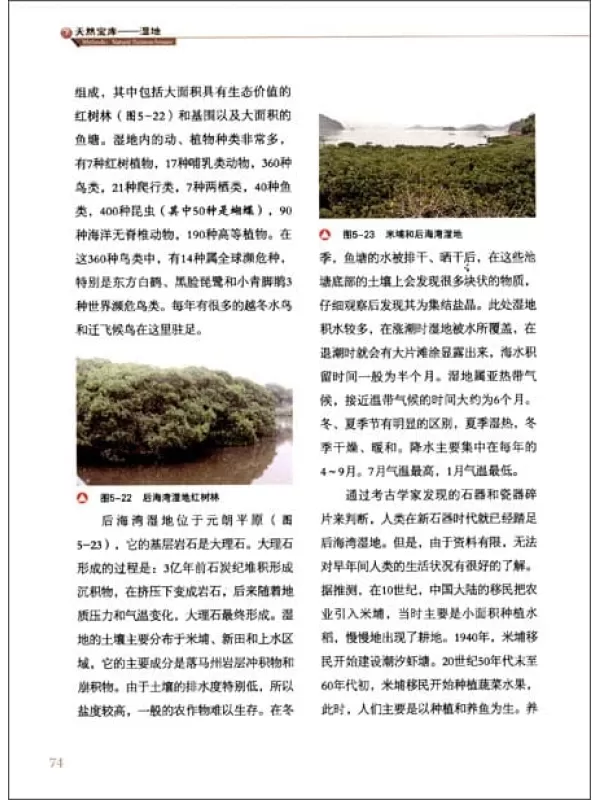 《解读地球密码：天然宝库(湿地)》扫描版[PDF]