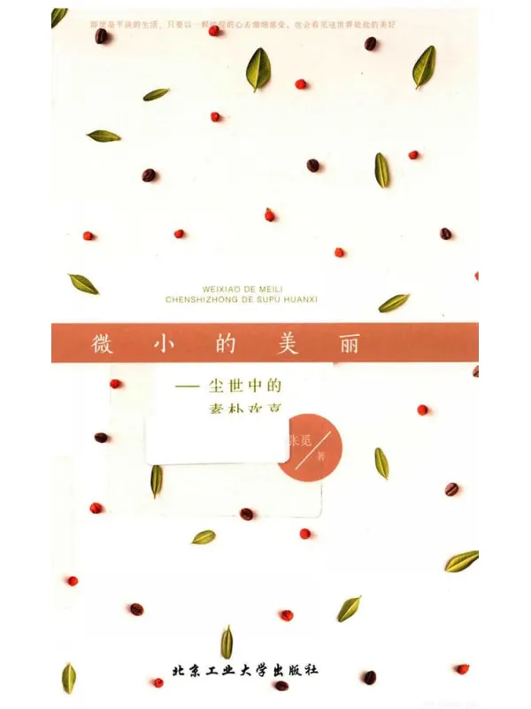 《微小的美丽——尘世中的素朴欢喜》_张觅_北京工业大学_扫描版[PDF]