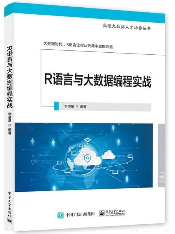 《R语言与大数据编程实战》李倩星【文字版_PDF电子书_下载】