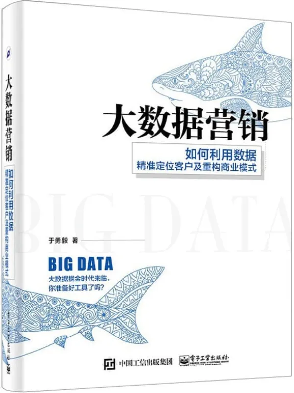 《大数据营销：如何利用数据精准定位客户及重构商业模式》于勇毅【文字版_PDF电子书_下载】