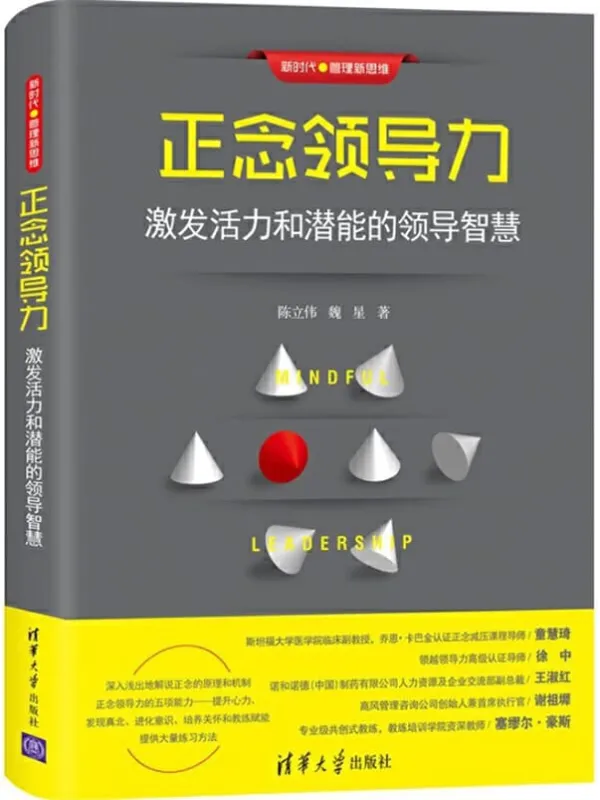 《正念领导力：激发活力和潜能的领导智慧》陈立伟 & 魏星【文字版_PDF电子书_下载】