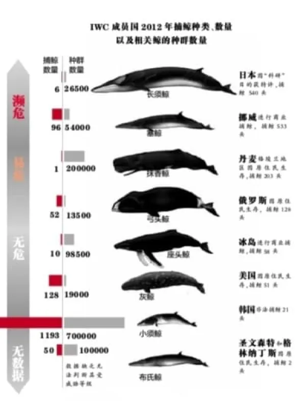 组织机构：国际捕鲸委员会