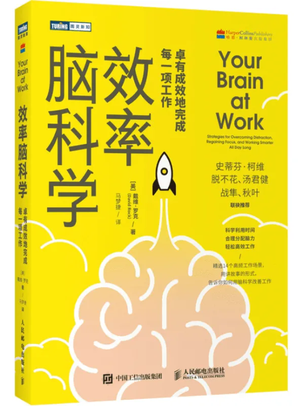 《效率脑科学：卓有成效地完成每一项工作》（运用脑科学新研究成果，充分开发大脑潜能，提升专注力，轻松工作不加班）（图灵图书）戴维·罗克【文字版_PDF电子书_下载】