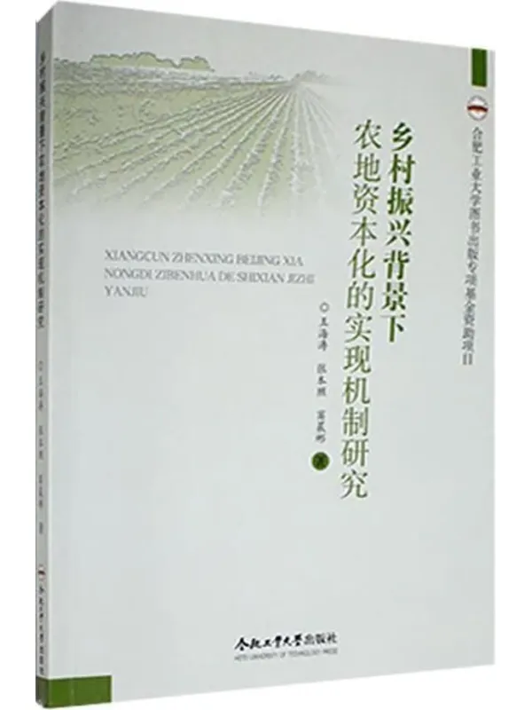 《乡村振兴背景下农地资本化的实现机制研究》王海涛，张本照，窦晨彬【扫描版_PDF电子书_下载】