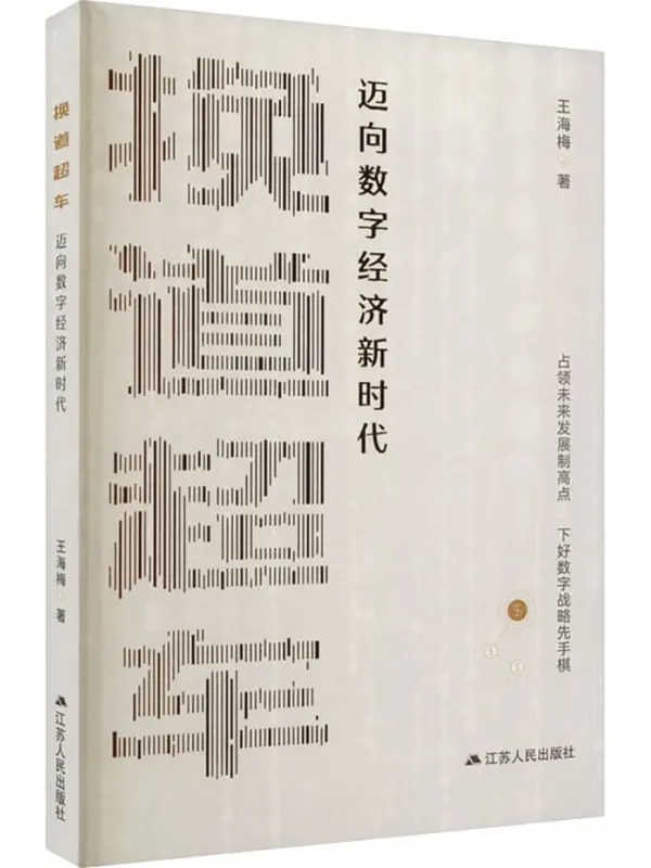 《换道超车：迈向数字经济新时代》王海梅【扫描版_PDF电子书_下载】