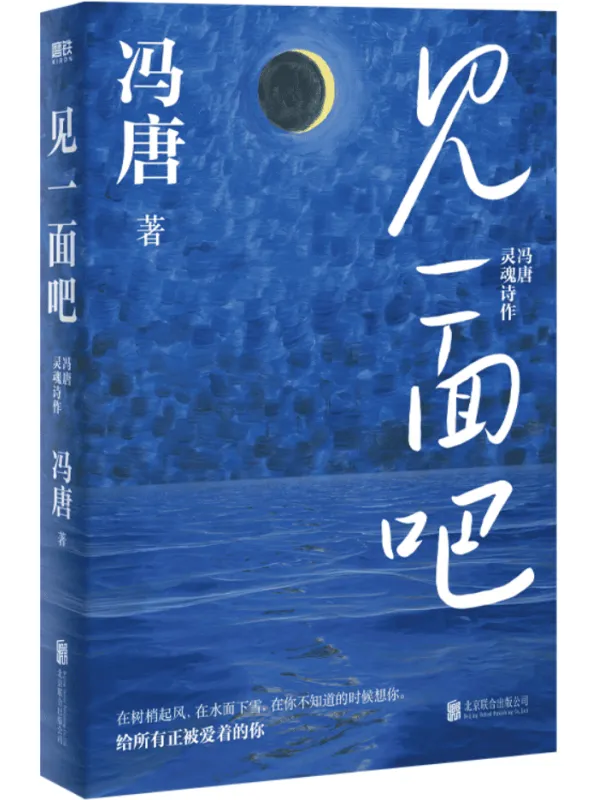 《见一面吧》（磨铁·冯唐作品）冯唐【文字版_PDF电子书_雅书】